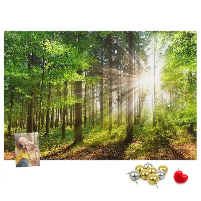Kork-Pinnwand mit Wald-Motiv bei Sonnenaufgang