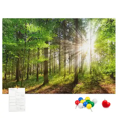 Kork-Pinnwand mit Wald-Motiv bei Sonnenaufgang