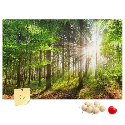 Kork-Pinnwand mit Wald-Motiv bei Sonnenaufgang