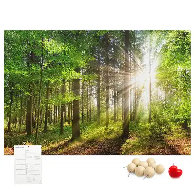 Kork-Pinnwand mit Wald-Motiv bei Sonnenaufgang