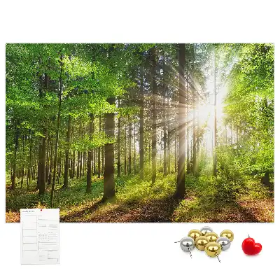 Kork-Pinnwand mit Wald-Motiv bei Sonnenaufgang