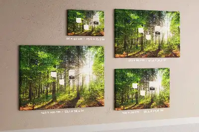 Kork-Pinnwand mit Wald-Motiv bei Sonnenaufgang