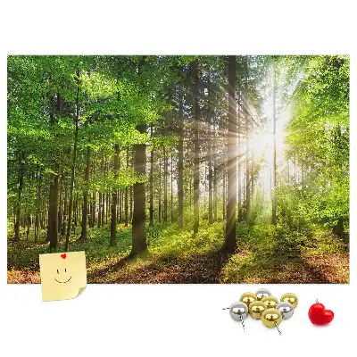 Kork-Pinnwand mit Wald-Motiv bei Sonnenaufgang