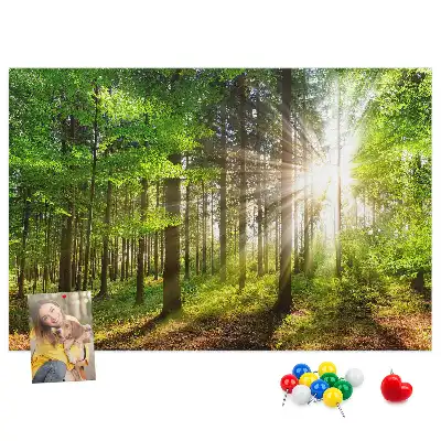 Kork-Pinnwand mit Wald-Motiv bei Sonnenaufgang