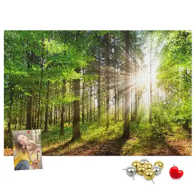 Kork-Pinnwand mit Wald-Motiv bei Sonnenaufgang