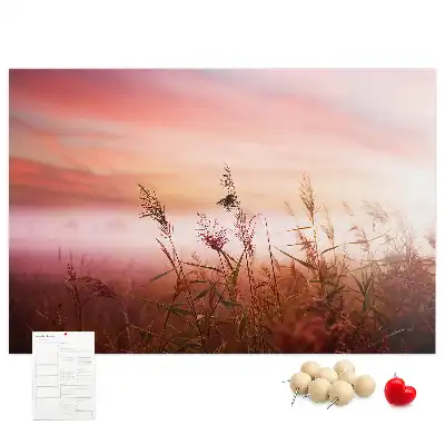 Bilder-Korktafel Nebliger Morgen
