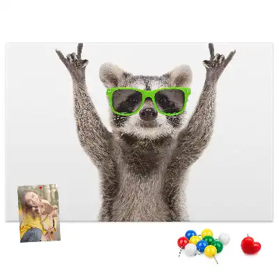 Bedruckte Korkplatte Waschbär mit Brille