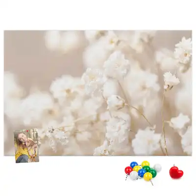 Bilder-Korktafel Kleine weiße Blumen