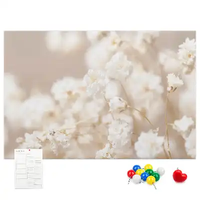 Bilder-Korktafel Kleine weiße Blumen