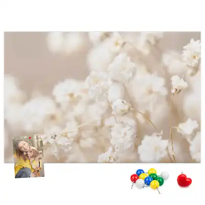 Bilder-Korktafel Kleine weiße Blumen