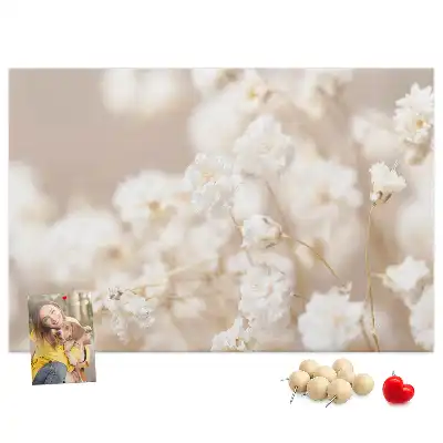 Bilder-Korktafel Kleine weiße Blumen