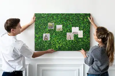 Kork Pinnwand Hecke Blätter