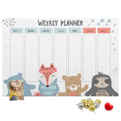 Bilder-Korktafel Wochenplan