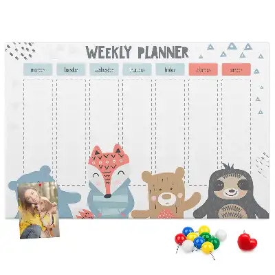 Bilder-Korktafel Wochenplan