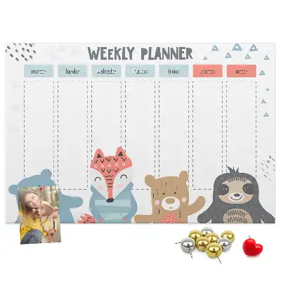 Bilder-Korktafel Wochenplan