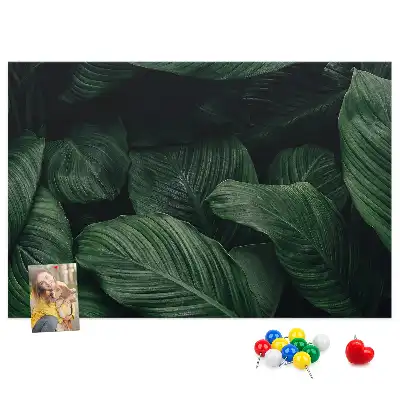 Bedruckte Korkplatte Tropische Monstera