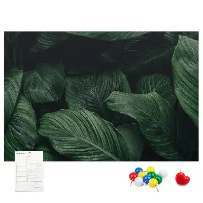 Bedruckte Korkplatte Tropische Monstera