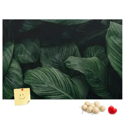 Bedruckte Korkplatte Tropische Monstera