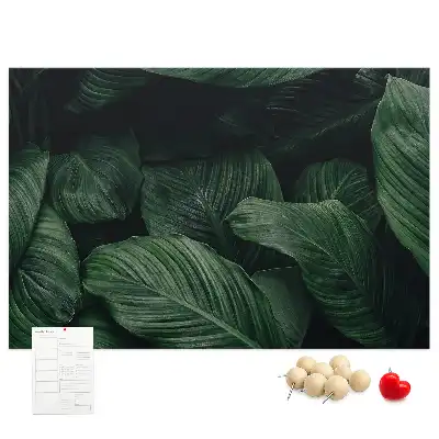 Bedruckte Korkplatte Tropische Monstera