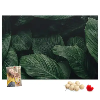 Bedruckte Korkplatte Tropische Monstera