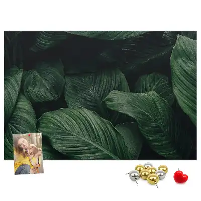 Bedruckte Korkplatte Tropische Monstera