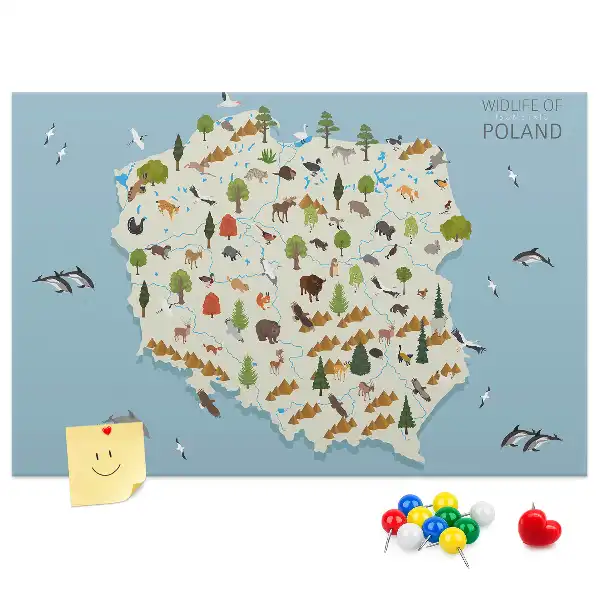 Kork-Pinnwand mit Polen-Karte und Tiermotiven