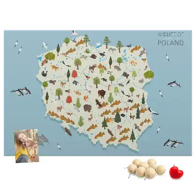 Kork-Pinnwand mit Polen-Karte und Tiermotiven