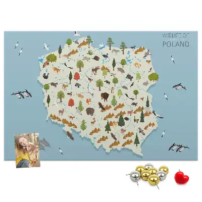 Kork-Pinnwand mit Polen-Karte und Tiermotiven