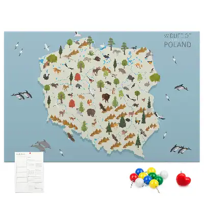 Kork-Pinnwand mit Polen-Karte und Tiermotiven
