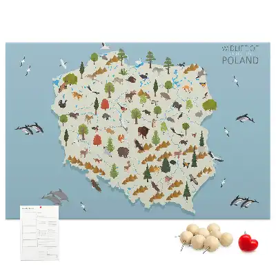 Kork-Pinnwand mit Polen-Karte und Tiermotiven