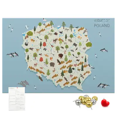 Kork-Pinnwand mit Polen-Karte und Tiermotiven