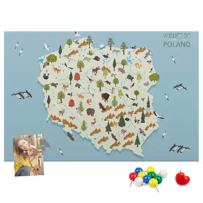Kork-Pinnwand mit Polen-Karte und Tiermotiven