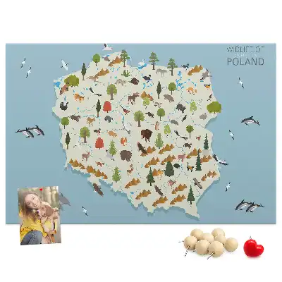 Kork-Pinnwand mit Polen-Karte und Tiermotiven