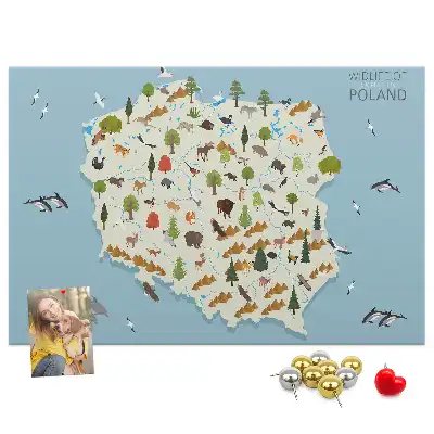 Kork-Pinnwand mit Polen-Karte und Tiermotiven