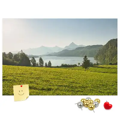 Bilder-Korktafel Berge Feld