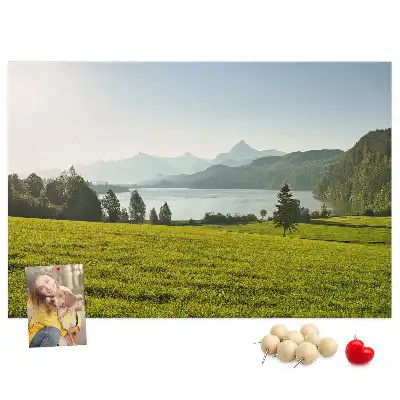 Bilder-Korktafel Berge Feld