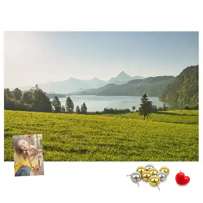 Bilder-Korktafel Berge Feld