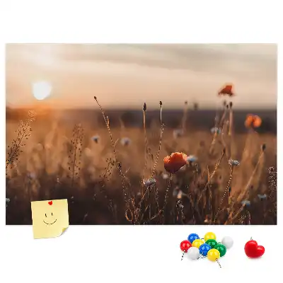 Bilder-Korktafel Feld Sonnenaufgang