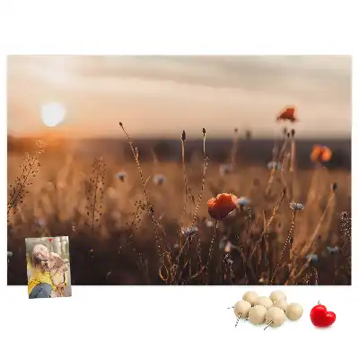 Bilder-Korktafel Feld Sonnenaufgang