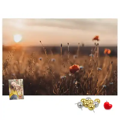 Bilder-Korktafel Feld Sonnenaufgang
