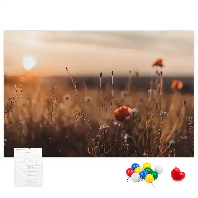 Bilder-Korktafel Feld Sonnenaufgang