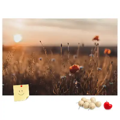 Bilder-Korktafel Feld Sonnenaufgang