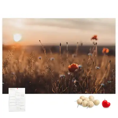 Bilder-Korktafel Feld Sonnenaufgang