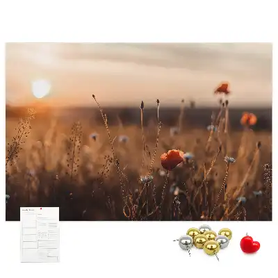 Bilder-Korktafel Feld Sonnenaufgang