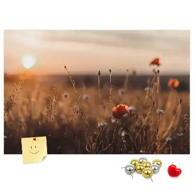 Bilder-Korktafel Feld Sonnenaufgang