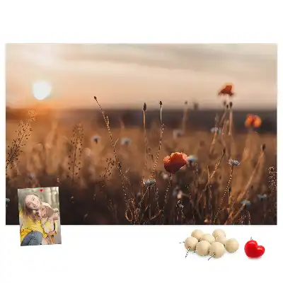 Bilder-Korktafel Feld Sonnenaufgang