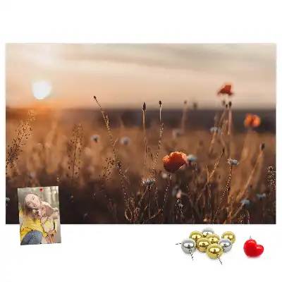 Bilder-Korktafel Feld Sonnenaufgang