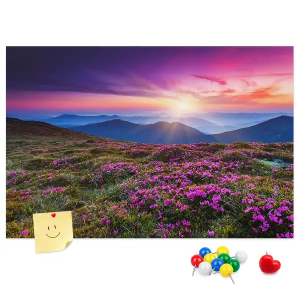 Kork Pinnwand Sonnenaufgang Blumen