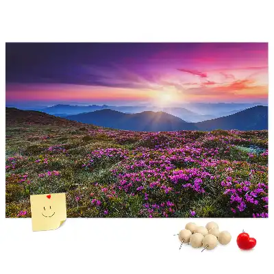 Kork Pinnwand Sonnenaufgang Blumen
