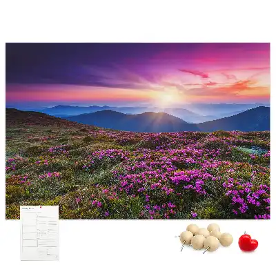 Kork Pinnwand Sonnenaufgang Blumen